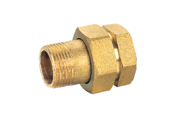 DS1101